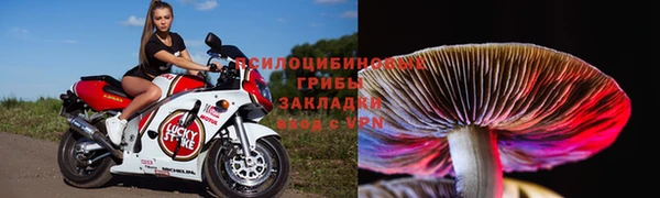 СК Абаза