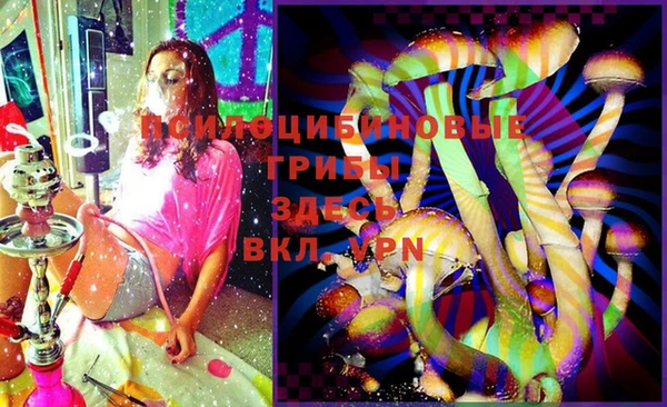 амф Абинск