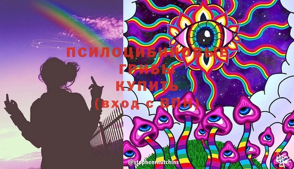 СК Абаза