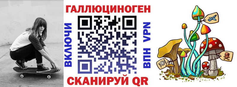Псилоцибиновые грибы GOLDEN TEACHER Дербент